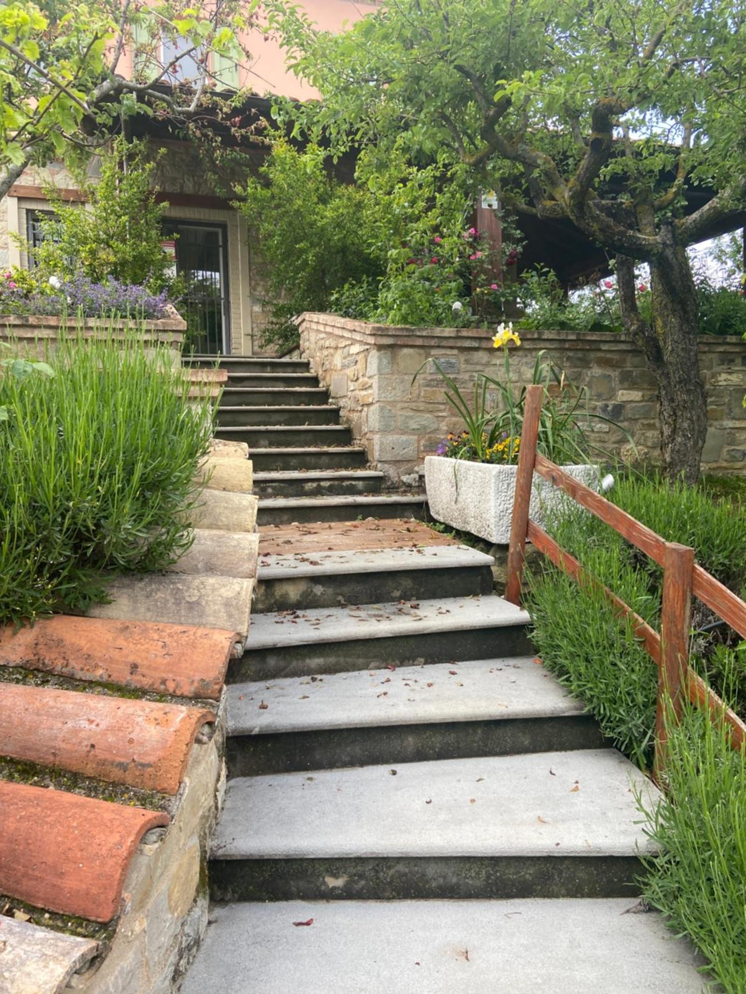 Agriturismo I Tassoni Villa Pavullo nel Frignano Exterior foto